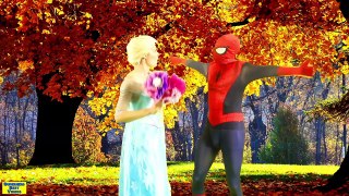 SPIDERMAN VS FROZEN ELSA BABYS POO Spiderman POOP PRANK Superhero In Real Life Prank Vide