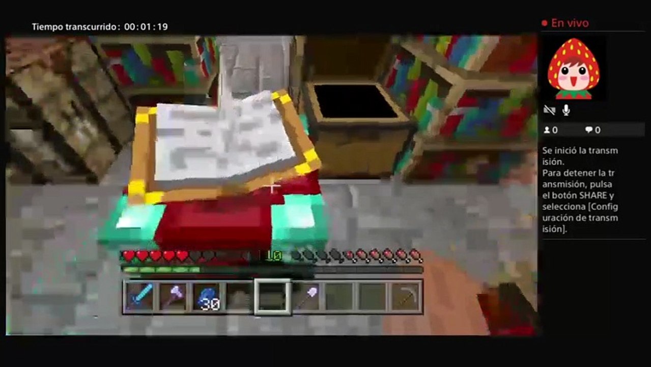 Minecraft (5)
