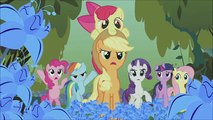 My Little Pony: FiM | Temporada 1 Capítulo 9 (1/4) | La Apariencia no lo es Todo [Español