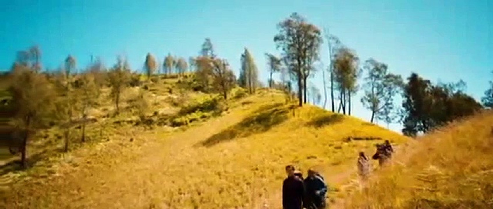 5 cm