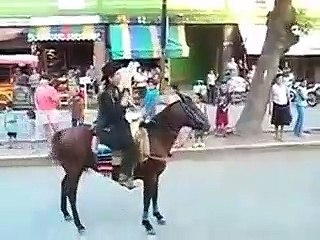 Hourse Jumping Fail(freefunny.in)