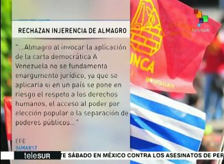 ONG de Uruguay rechazan acciones de Almagro contra Venezuela
