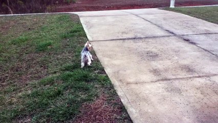 Z57 presents Lea vs. concrete