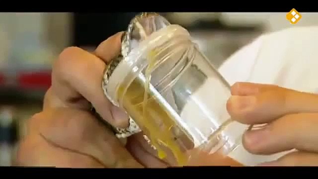 Freek op safari Busanga kijk je op npo nl