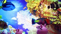 SPONGEBOB Fish Tank with Sandys TREEDOME | Bikini Bottom Aquarium Videos Squarepants Toyp
