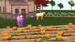 Surprise Eggs Nursery Rhymes Toys | Baa Baa Black Sheep | Learn Colours & Farm Animals | C