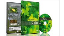 [Download Full] Rain DVD with Nature and Thunder Sounds for Relaxation Movie HD