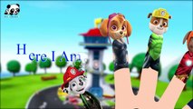 #Paw Patrol #Batman #HULK #Ironman #Antman #Spiderman #Finger Family Songs Panda Kids
