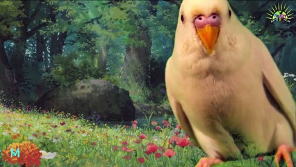 Poems for Kids | Cheetah 2D Finger Family | English Rhymes for Kids