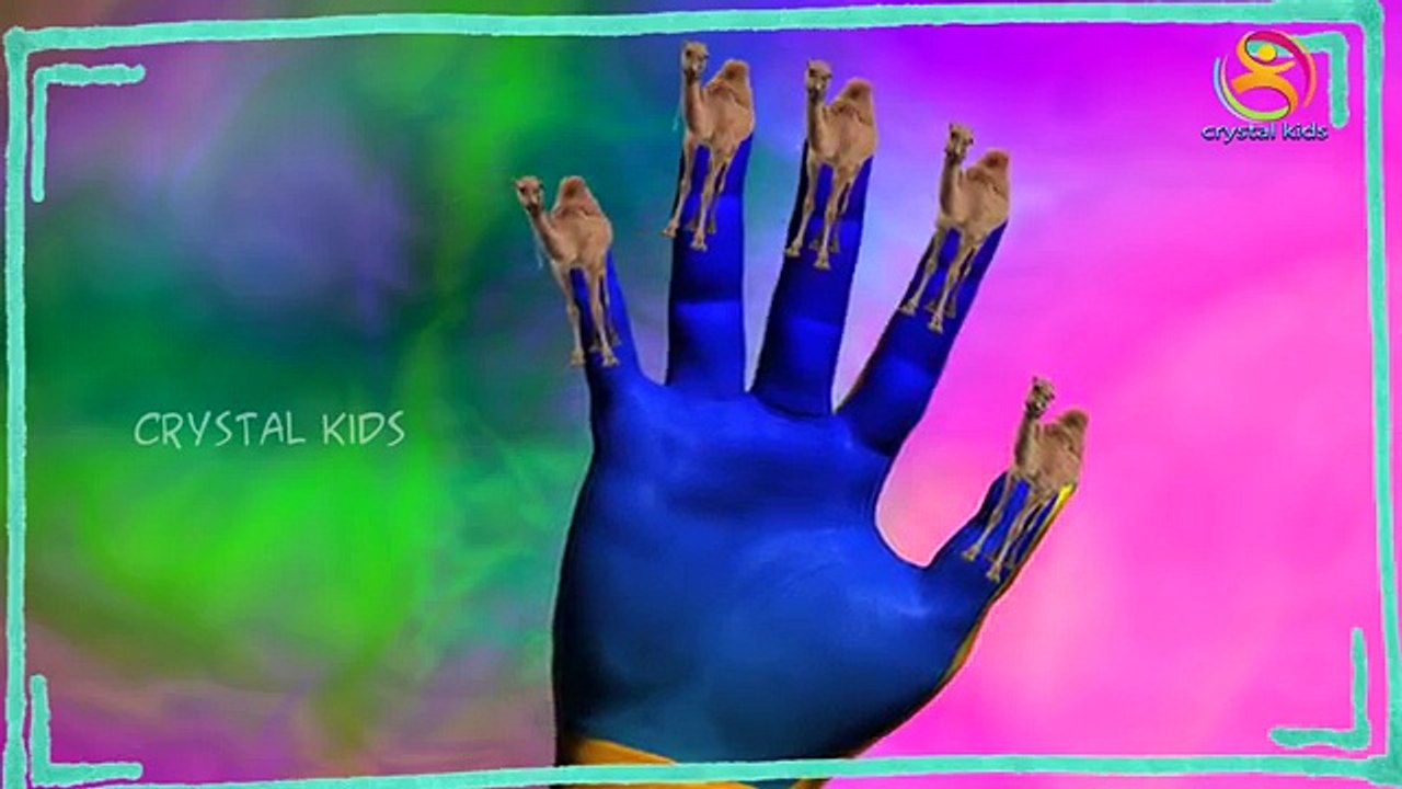 Camel Finger Family 3d Animated Nursery Children Popular English Rhymes