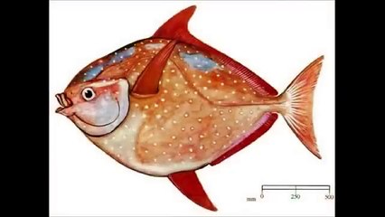 【閲覧注意】知らない方がよかった? 少し怖い雑学 No1 【トリビア・都市伝説】