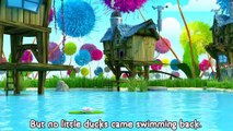 Bingo - Beautiful Nursery Rhymes for Children from Hello Mr. Freckles | LooLoo Kids