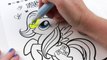 My Little Pony Coloring Book FLUTTERSHY Speed Coloring With Markers-xnbIp