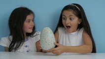 Hatchimals Hatching A New Baby! 2016 Christmas Wish List Toy Hatchimals Surprise Eggs-sm69dw1q