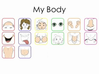 Body Vocabulary - (original) - The Human Body Vocabulary Words by Elf Learning-HkMj