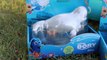Finding Dory Swimming Toys for Toddlers Made by Bandai-XmPY6-