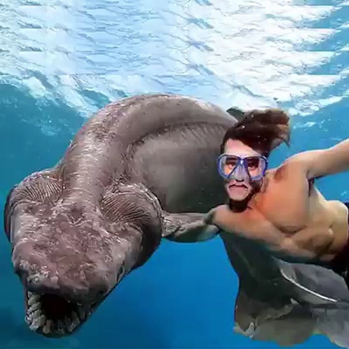 ‏أحلى صيد السمك