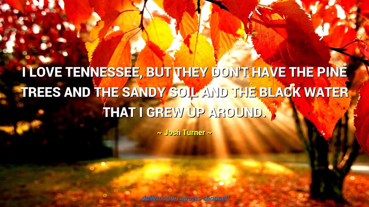 Josh Turner Quotes #2