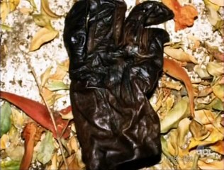 2020 – The Oj Simpson Tapes