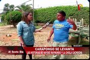 Carapongo: cuando los huaicos afectan a los famosos