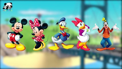 Little Babies Mickey Mouse Finger Family Songs - Daddy Finger Family Nursery Rhymes - Pand