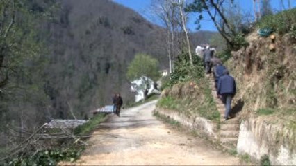 İkizdere'de Ayılar Mezarlara Dadandı