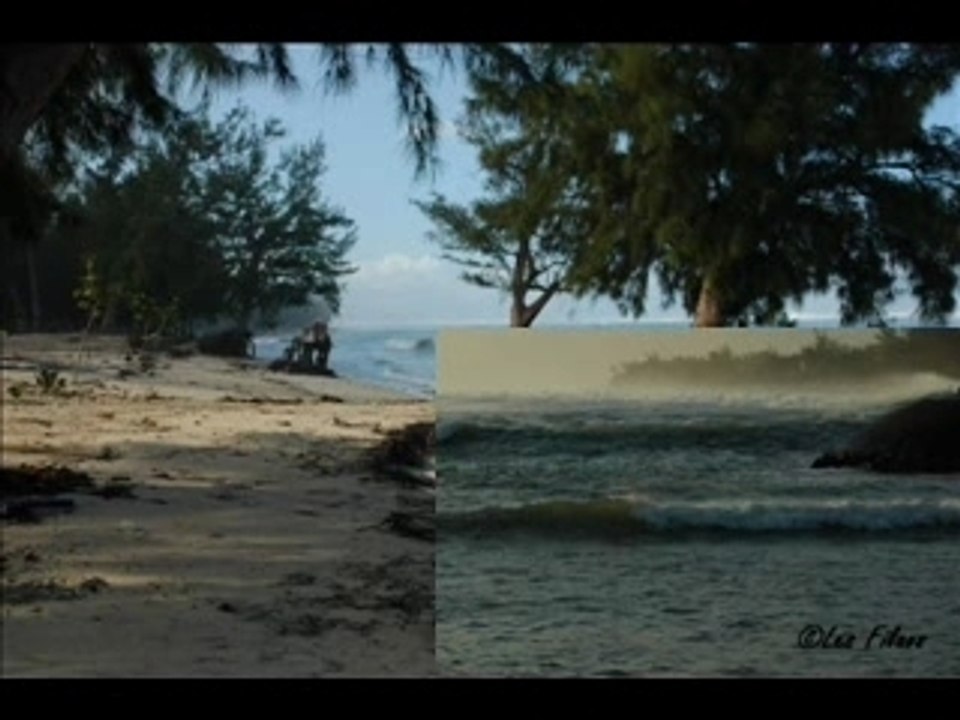 Un an sous les filaos