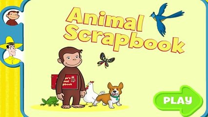 Curious George - Animal Scrapbook Full Episode Educational Cartoon