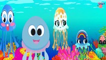 Jellyfish Finger Family Songs For Kids And Nursery Rhymes For children