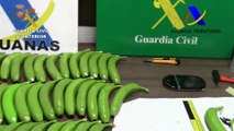 Bananas falsas llenas de cocaína: 2 detenidos y 17 kg de droga intervenidos en Valencia y Málaga