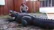 Ce gars courageux et inconscient s'assoit tout près d'un crocodile géant