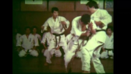 8mm地上最強のカラテ