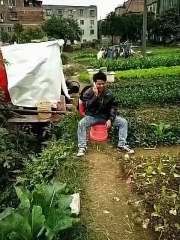 (4) Shafqat Sadri Studio feeling entertained in... - Shafqat Sadri Studio