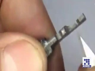 پنسل کی نوک پر بنا ایسا آرٹ جسے بناناہر کسی کے بس کی بات نہیں