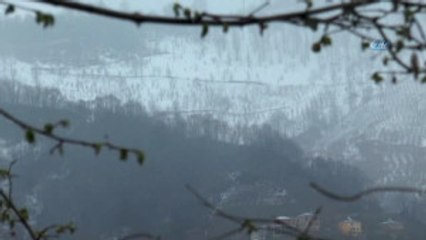 Giresun'da Kış ve Bahar Bir Arada