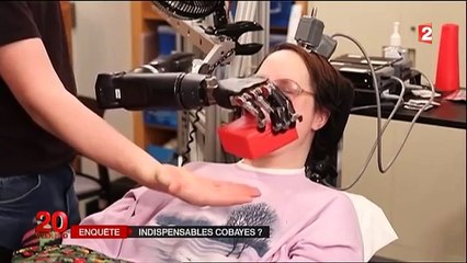 Experimentation animale  Extrait du JT de France 2