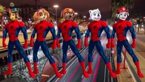 Paw Patrol Spiderman Finger Family Songs - Nursery Rhymes Lyric & More - ABC Kids