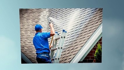 Professional Roof Washing Contractors
