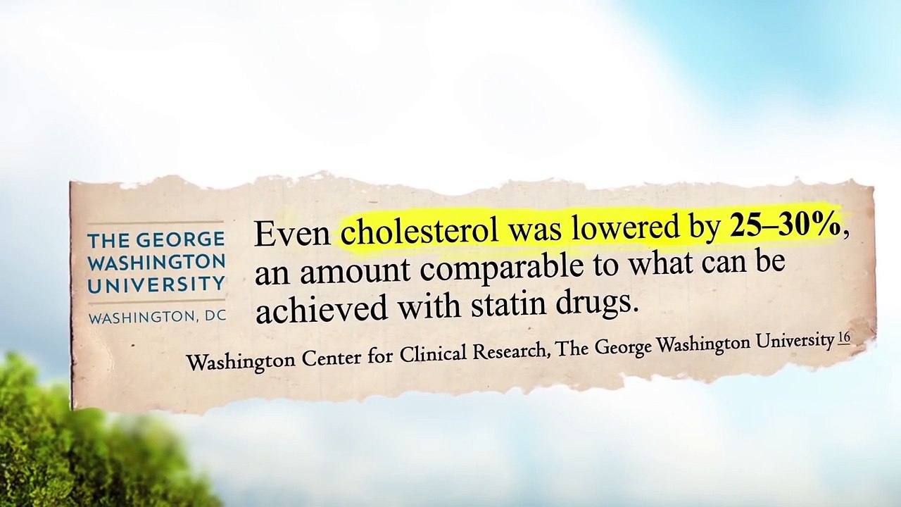 reverse any diabetes, reverse diabetes diet pdf, reverse diabetes meal plan