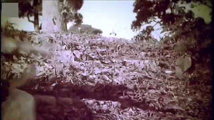 Ami ekdin tomay na dekhile