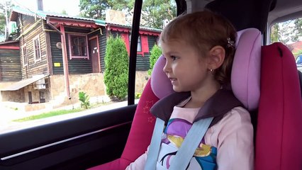 ВЛОГ едем в машине Кушаем в ресторане и сладкие Суши на трассе Забираем кошечку