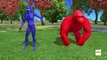 3D animated Colors Gorilla Finger family - Animals Dinosaur Daddy Finger family Rhymes for