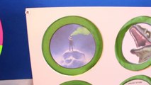 King KONG SKULL ISLAND vs DINOSAURS GAME Surprise Toys Jurassic World Slime Wheel Kids Games-gC