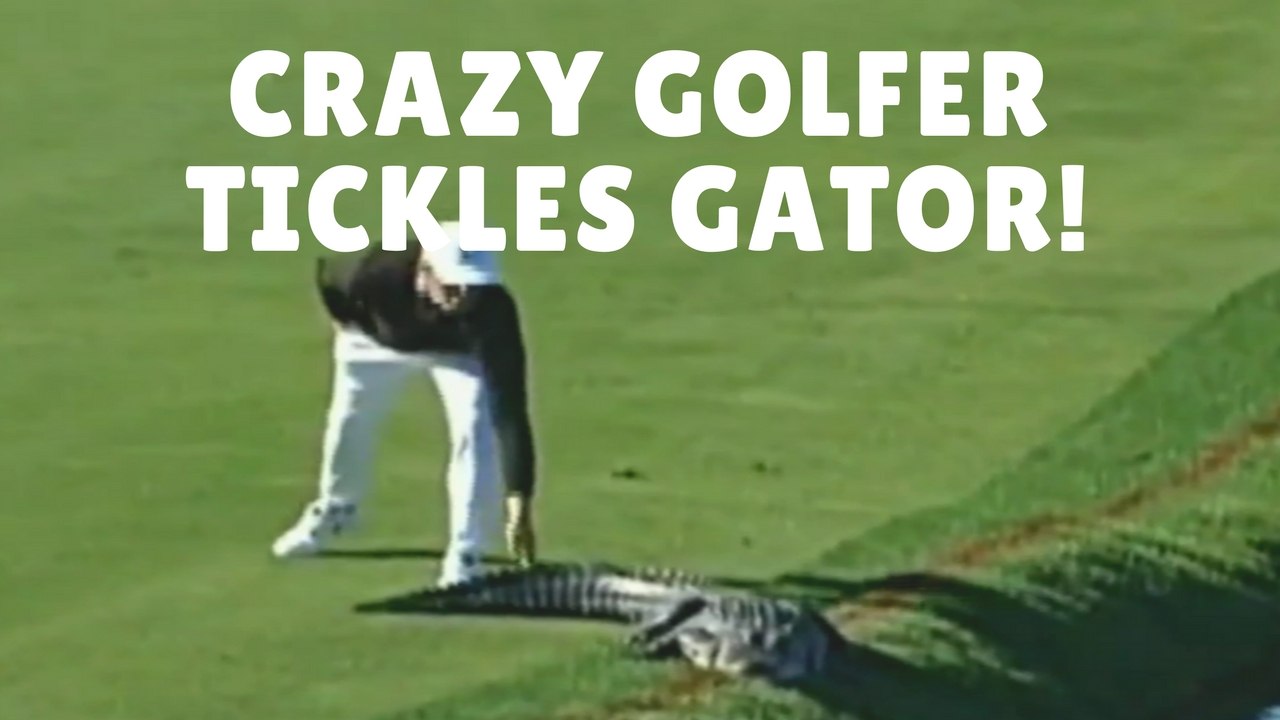Golfer TICKLES Alligator!
