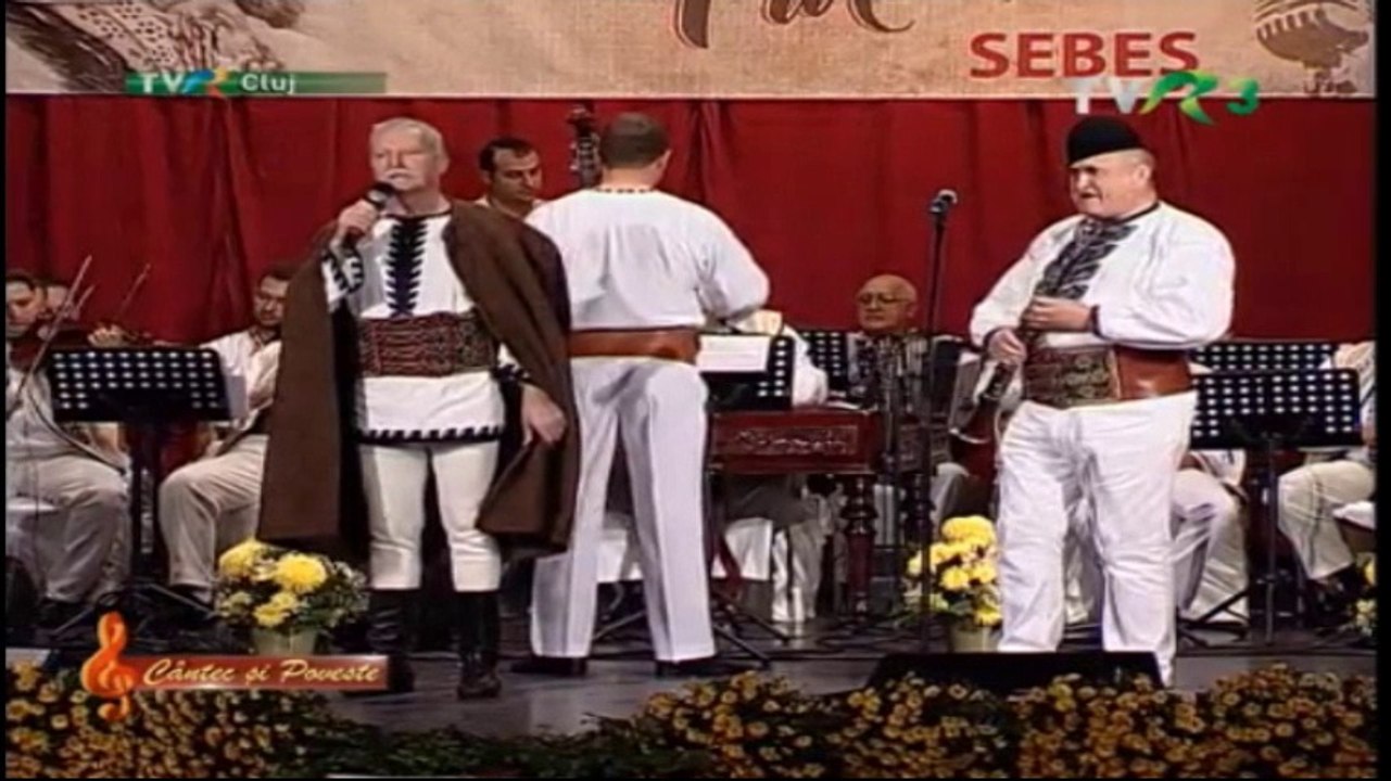 Ioan Bocsa si Sergiu Cipariu - LIVE - Festivalul "Felician Farcasiu" Sebes 2016