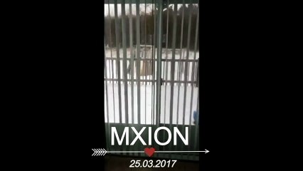 Ženo, daj pušku! Bilo bi kod nas