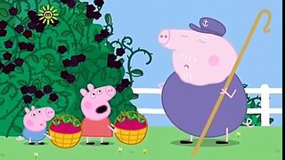Peppa Pig English Episodes Compilation # 448_8