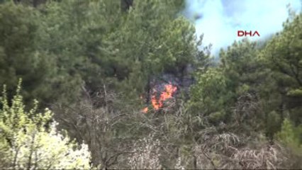 Karabük'te 3 Dönümlük Kızılçam Ormanı Yandı