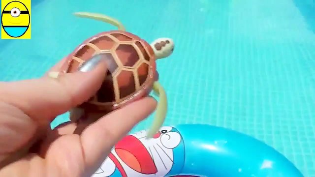Toys review toys unbole. Turtle robot rofofish unboxing toys