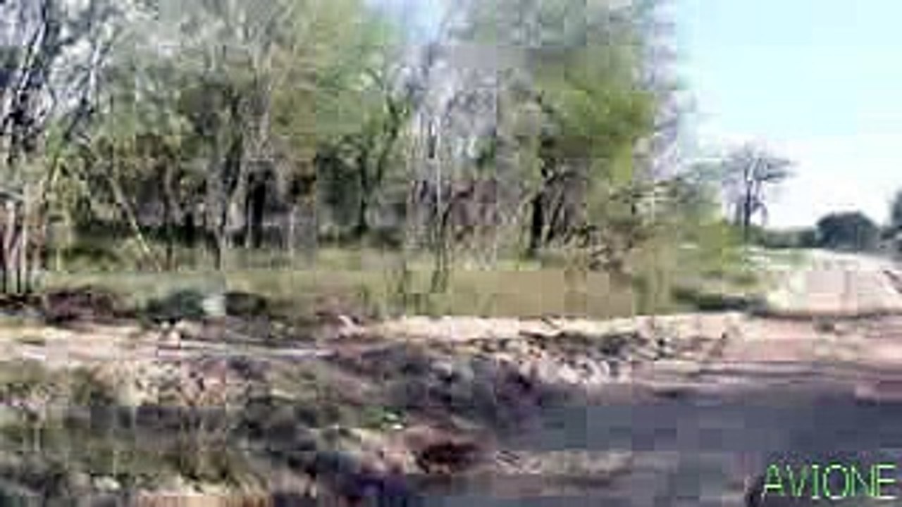 Wild Animal Attacks Leopard Attack